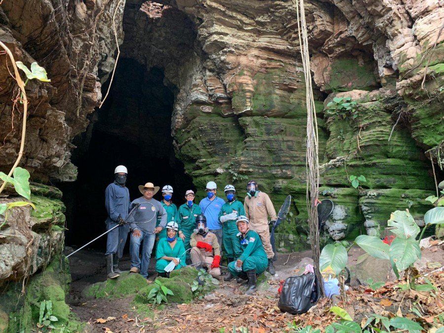 Adapec promove no estado do ParÃ¡ treinamento nas cavernas para tÃ©cnicos, visando o controle populacional dos morcegos hematÃ³fagos