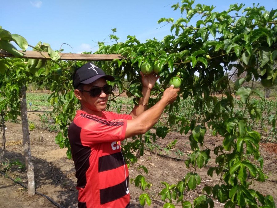 O agricultor Vicente Rivaldo Borges da Silva, de Araguatins, melhorou a produtividade no cultivo de melancia e maracujÃ¡ em sua propriedade