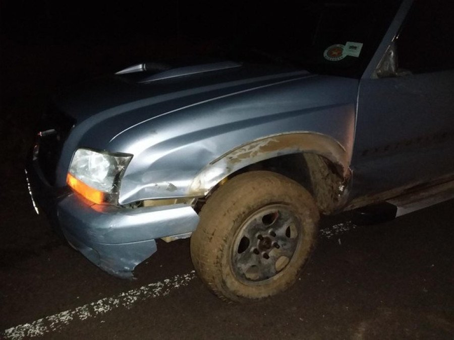 Motorista de caminhonete permaneceu no local, após acidente na TO-201 em Carrasco Bonito (Foto: Divulgação/PM)
