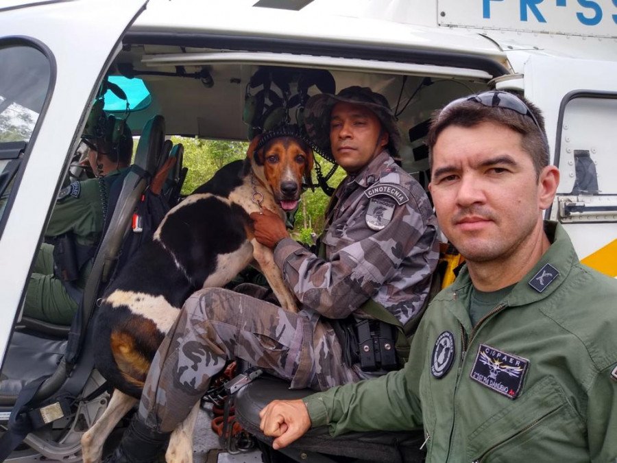 Policiais usaram drone, helicóptero e cães para encontrar idoso desaparecido em mata (Foto: Dicom/SSP-TO)