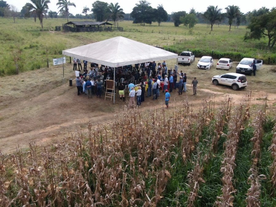 Dia de campo na propriedade reuniu mais de 120 pessoas em apresentação dos resultados do Programa Integra Zebu (Foto: Divulgação)