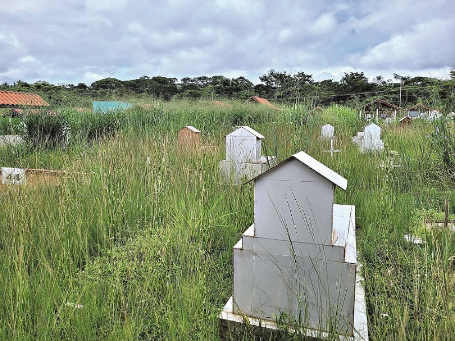 Visitantes sentem dificuldades para andar pelo local e encontrar os túmulos dos entes queridos (Foto: Ronaldo Modesto)