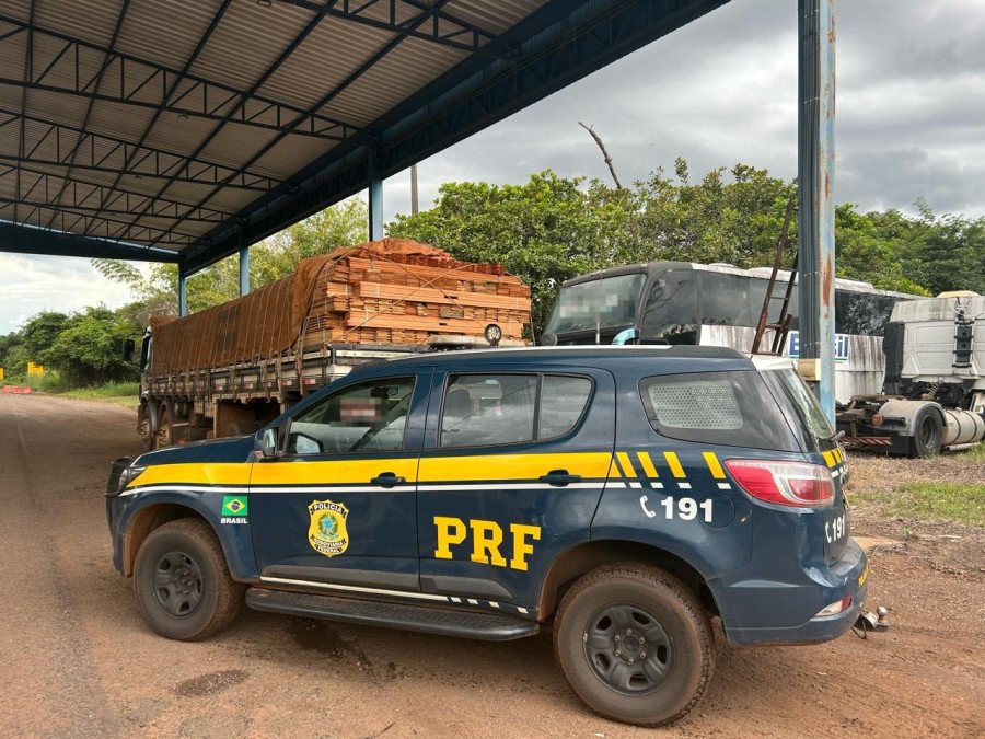 Polícia Rodoviária Federal apreende 23,5 m³ de madeira transportados ilegalmente em Luzinópolis (Foto: Divulgação)
