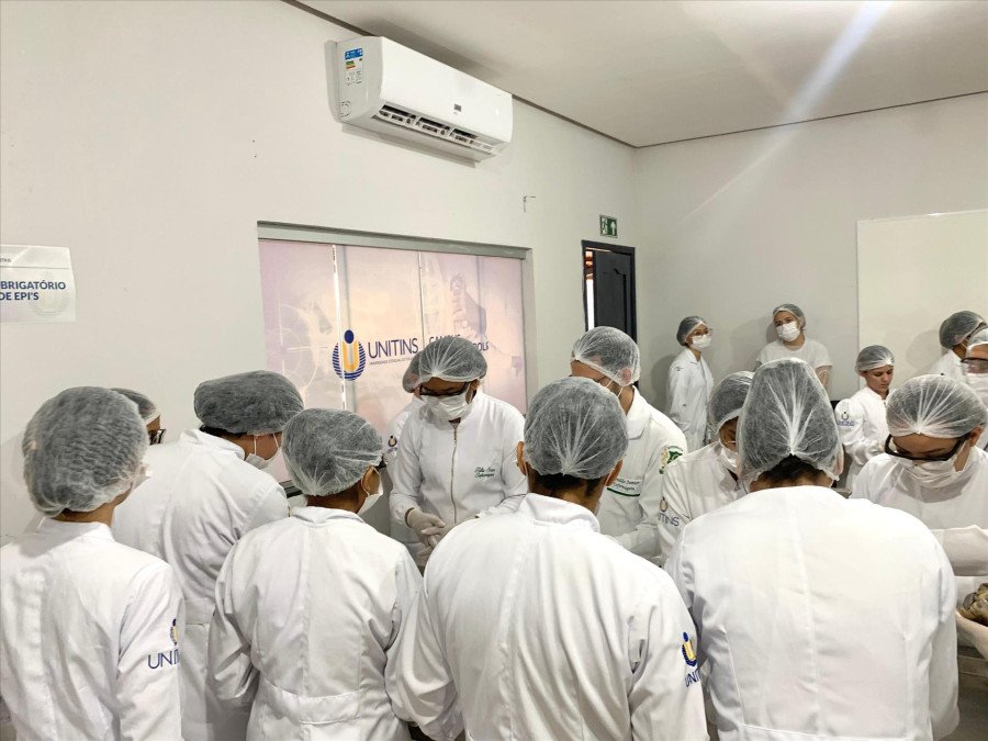 Acadêmicos durante monitoria da LAEM no Centro de Ciências da Saúde (CCS) (Foto: Divulgação)