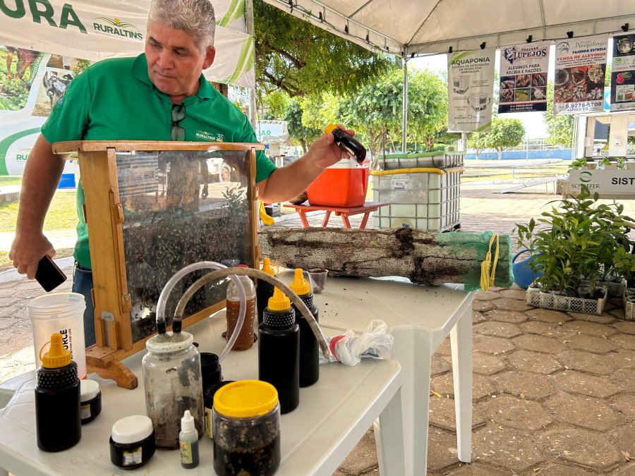 Técnico do Ruraltins apresenta diversos modelos de produção (Foto: Ruraltins)