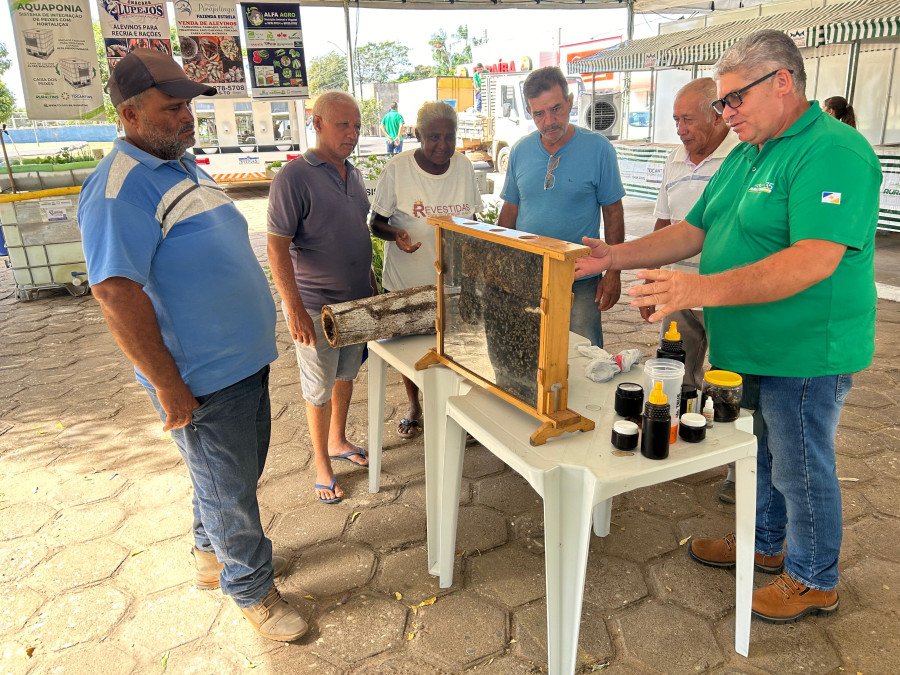 Exposição de abelhas atrai produtores na Feira da Colheita em Sampaio (Foto: Ruraltins)