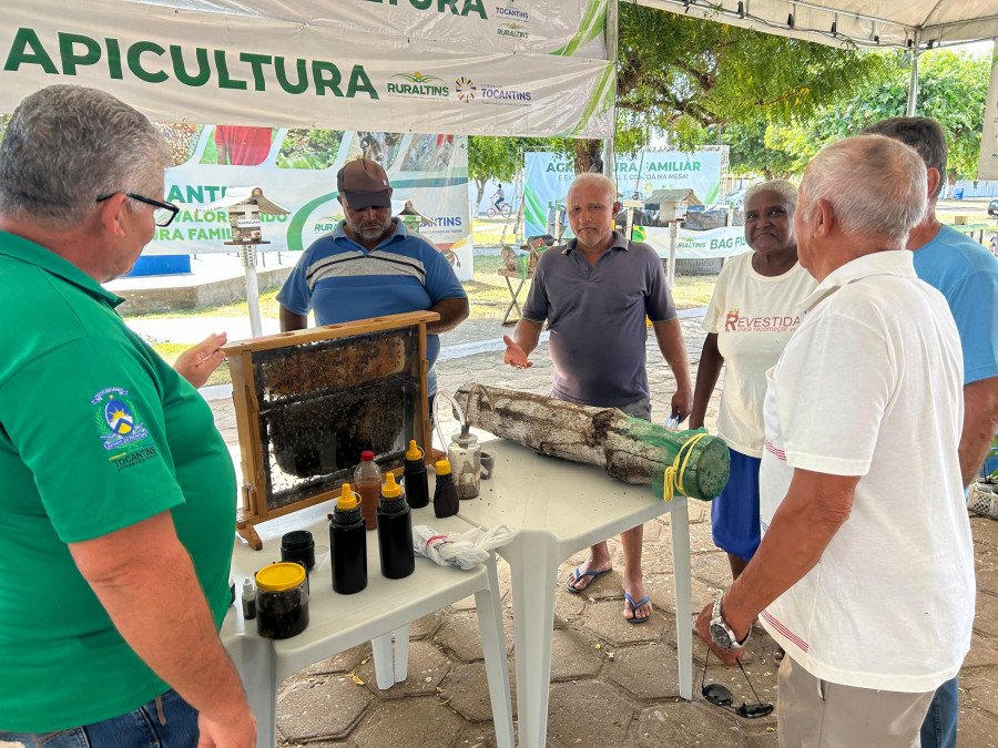 Apicultura é tema atrativo para produtores interessados na criação de abelhas, durante a Feira da Colheita (Foto: Ruraltins)