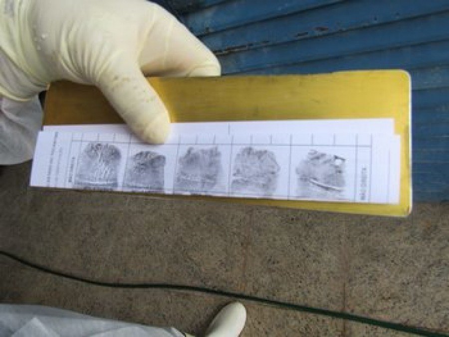 Corpo de homem carbonizado encontrado em região de mata na zona rural de Palmas foi identificado