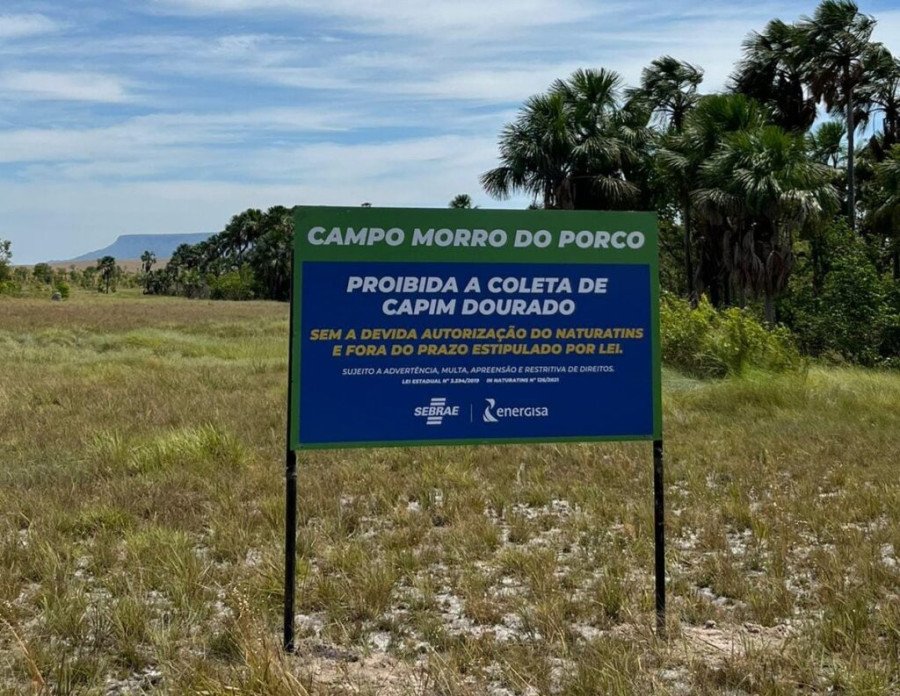 Placas de sinalização campo de capim dourado (Foto: Divulgação/Energisa)