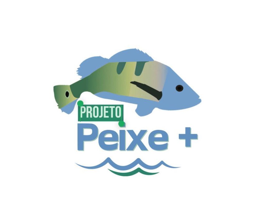 Projeto Peixe + tem como foco principal a implementação de um programa de educação ambiental nas escolas do Tocantins