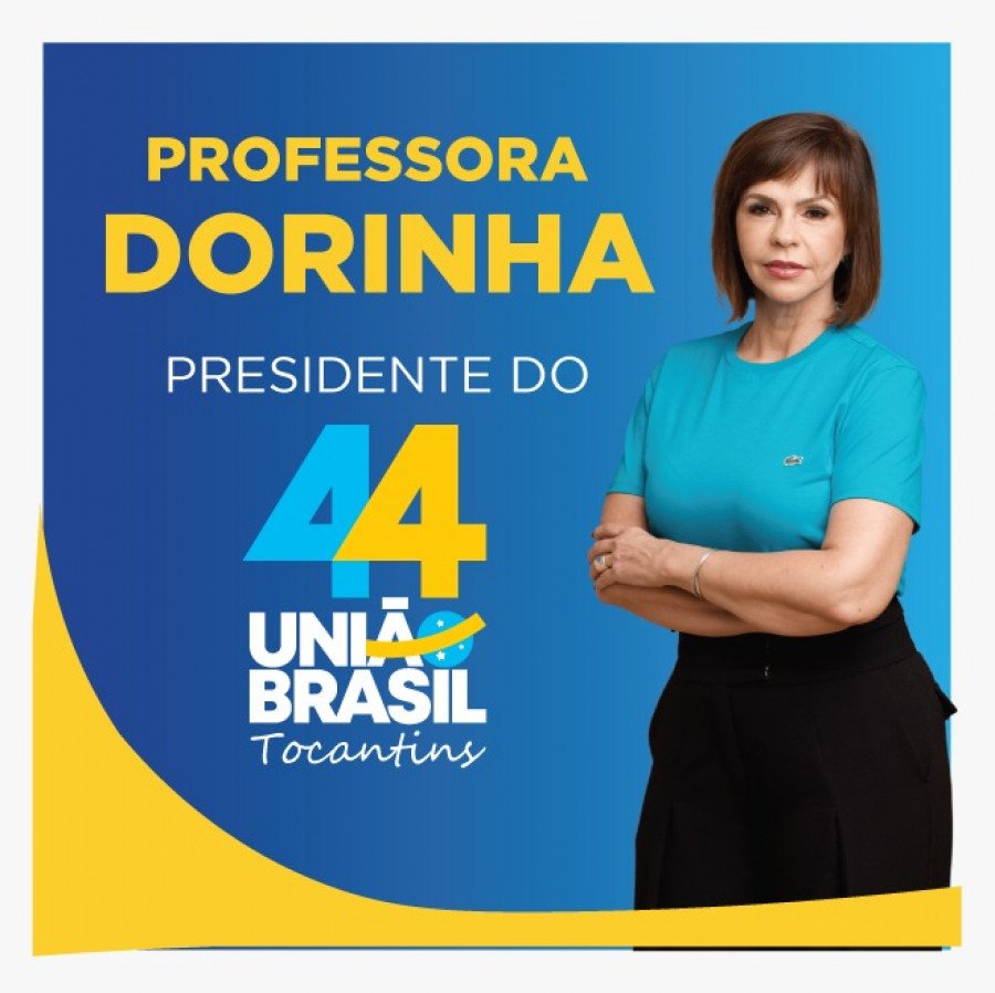 Deputada federal Professora Dorinha assume presidência do UB/TO (Foto: Divulgação)