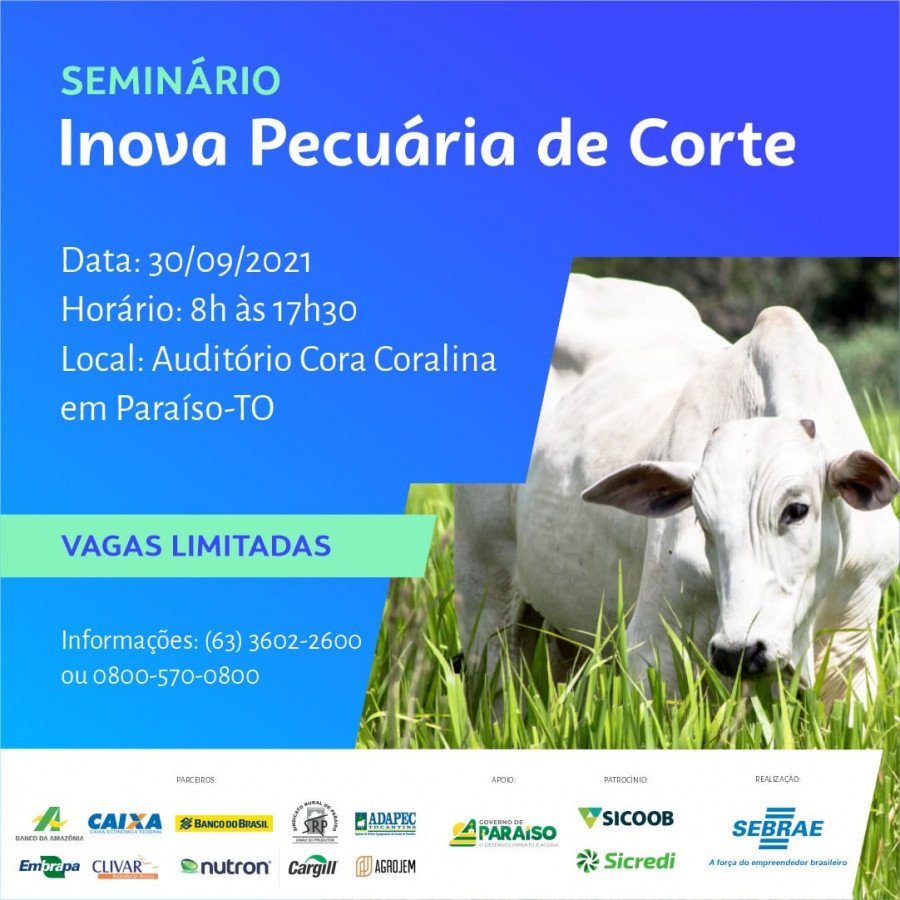 Sebrae Tocantins realiza Seminário Inova Pecuária de Corte, em Paraíso (Foto: Divulgação/Sebrae)