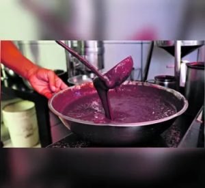 Paraenses na Expectativa: Verão e safra elevada podem fazer preço do açaí cair