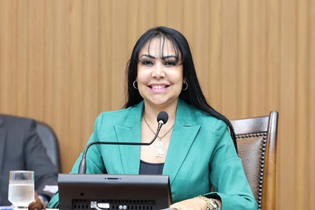 Deputada Janad Valcari solicita implantação de redutores de velocidade na rodovia TO-080, em Divinópolis