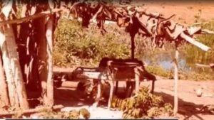 Justiça do Trabalho condena Volkswagen a pagar R$ 165 milhões por trabalho escravo no Pará