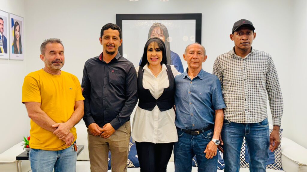 Vereadores de Jaú do Tocantins solicitam apoio de Janad para melhorias na infraestrutura do município