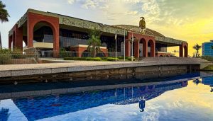 Governo do Tocantins decreta ponto facultativo na sexta-feira, 21, em razão do feriado da Consciência Negra