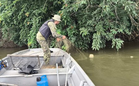 Piracema: Naturatins apreende mais de 12 mil metros de redes durante o Carnaval, com ações no Bico do Papagaio