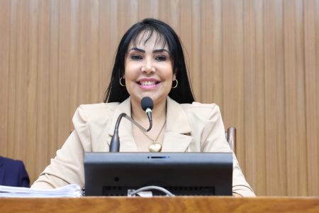 Janad Valcari cobra implantação de pontes e alerta para riscos enfrentados por famílias entre Wanderlândia e Darcinópolis