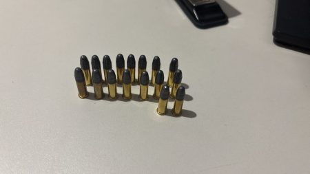 Polícia Civil apreende munições em residência durante ocorrência de violência doméstica em Figueirópolis