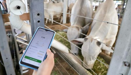 Agrotins 2026 destaca tecnologias e soluções inovadoras que modernizam a produção rural no Tocantins