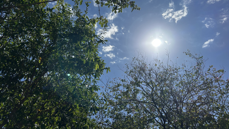 Super El Niño deve elevar temperaturas no Tocantins e Pará e potencializar período de estiagem