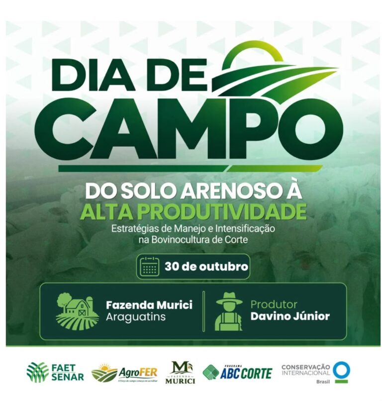 ARAGUATINS: Dia de Campo vai apresentar estratégias para aumentar a produtividade da pecuária em solos arenosos